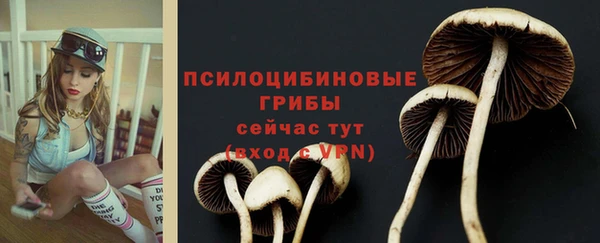 гашик Мегион