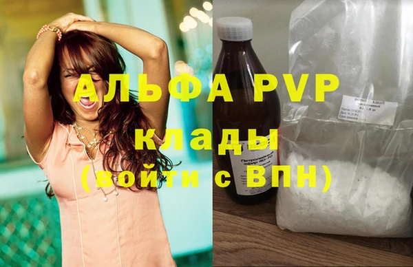 гашик Мегион