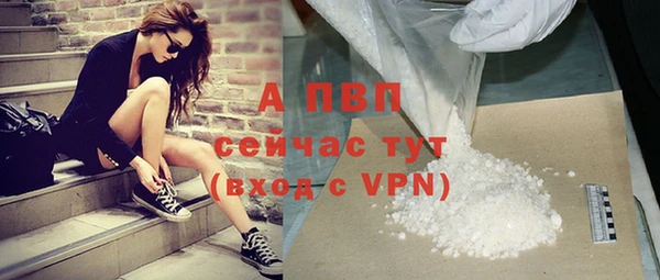 гашик Мегион