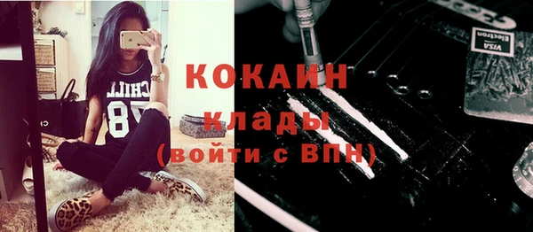 гашик Мегион