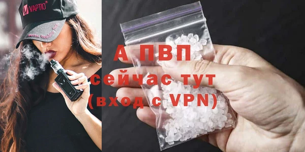 гашик Мегион